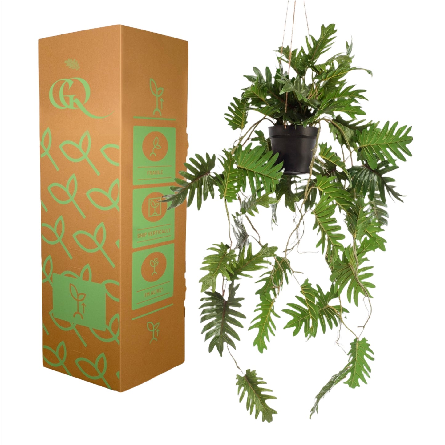 Planta artificial - Filodendro - 80 cm