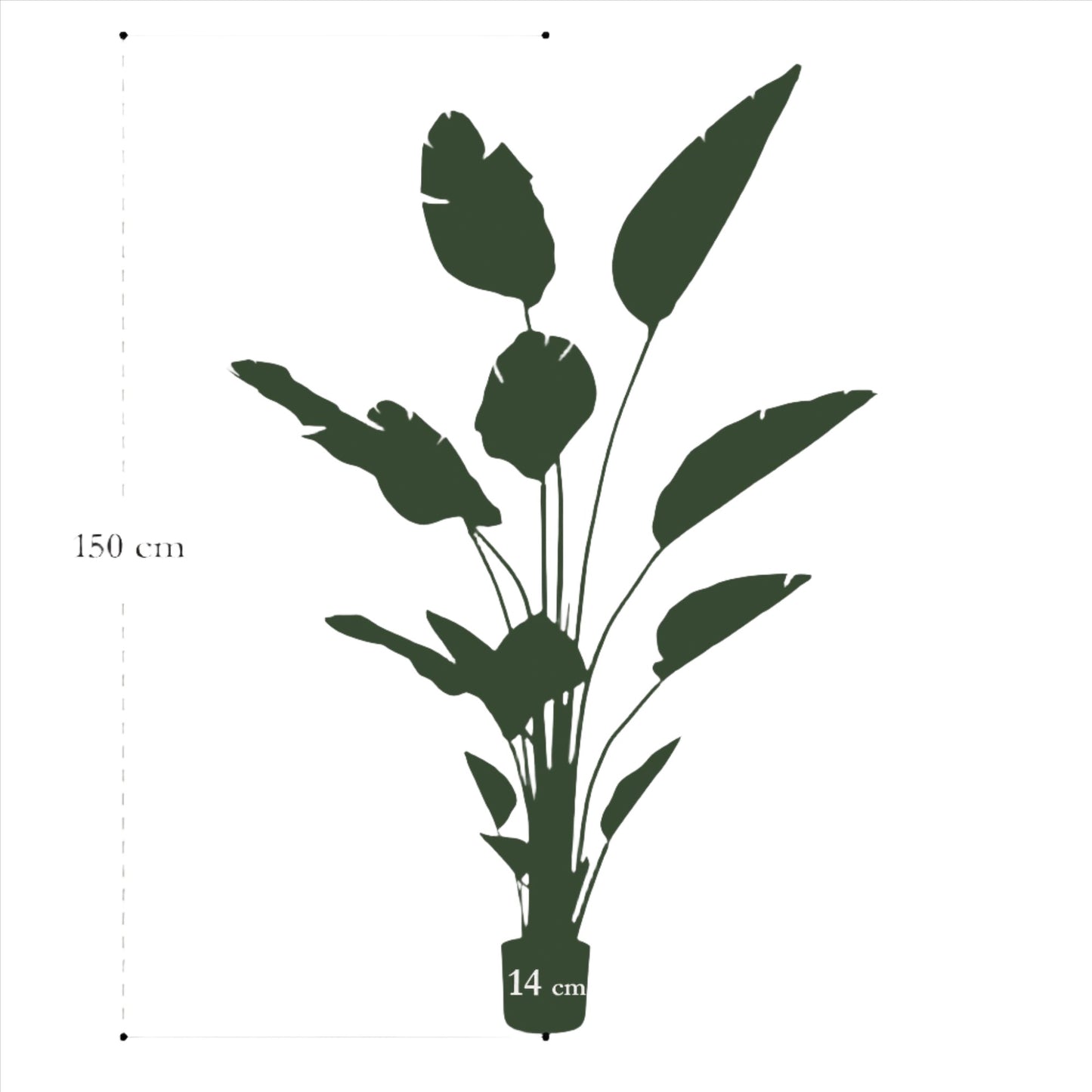 Planta artificial - Strelitzia Nicolai - Ave del paraíso - 150 cm