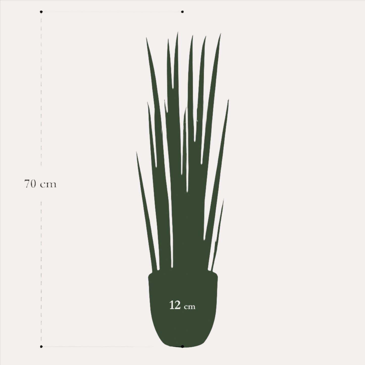 Planta artificial - Sanseveria Cylindrica - Vrouwentong - 70 cm