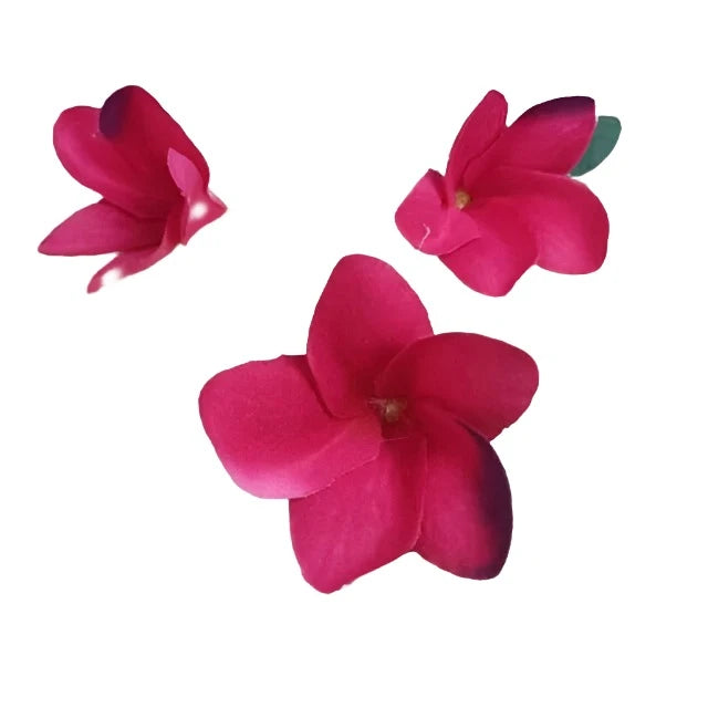 100Pcs Silk Frangipane Frangipani Flower Heads 6Cm 9Cm Artificial Tropical Hibiscus Flower Heads