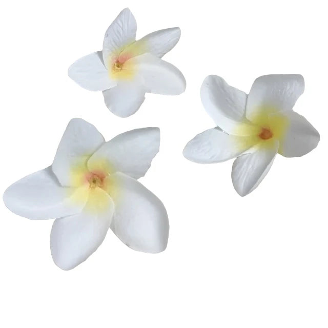 100Pcs Silk Frangipane Frangipani Flower Heads 6Cm 9Cm Artificial Tropical Hibiscus Flower Heads