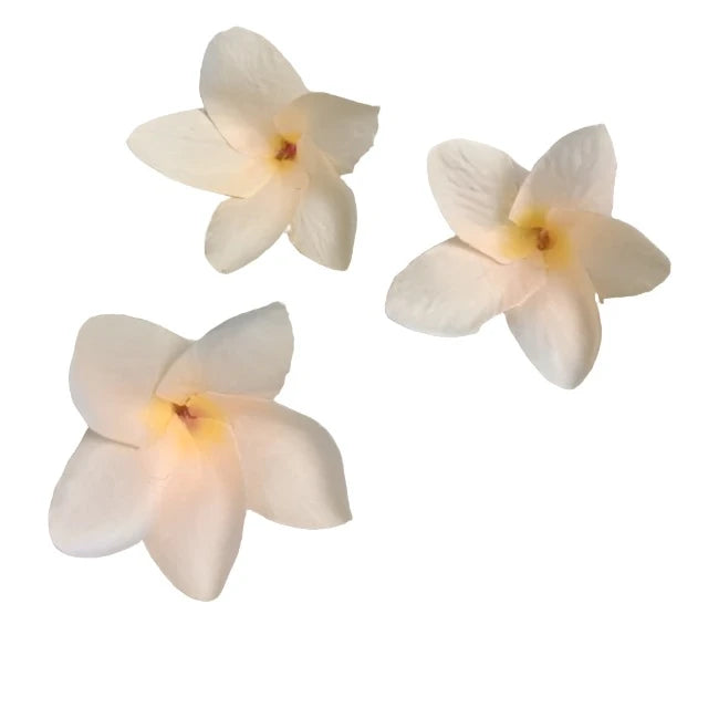 100Pcs Silk Frangipane Frangipani Flower Heads 6Cm 9Cm Artificial Tropical Hibiscus Flower Heads