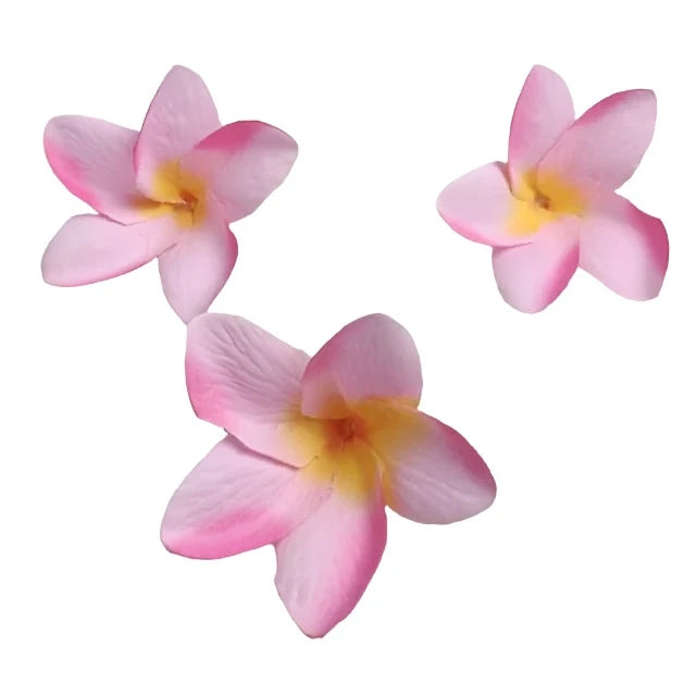 100Pcs Silk Frangipane Frangipani Flower Heads 6Cm 9Cm Artificial Tropical Hibiscus Flower Heads