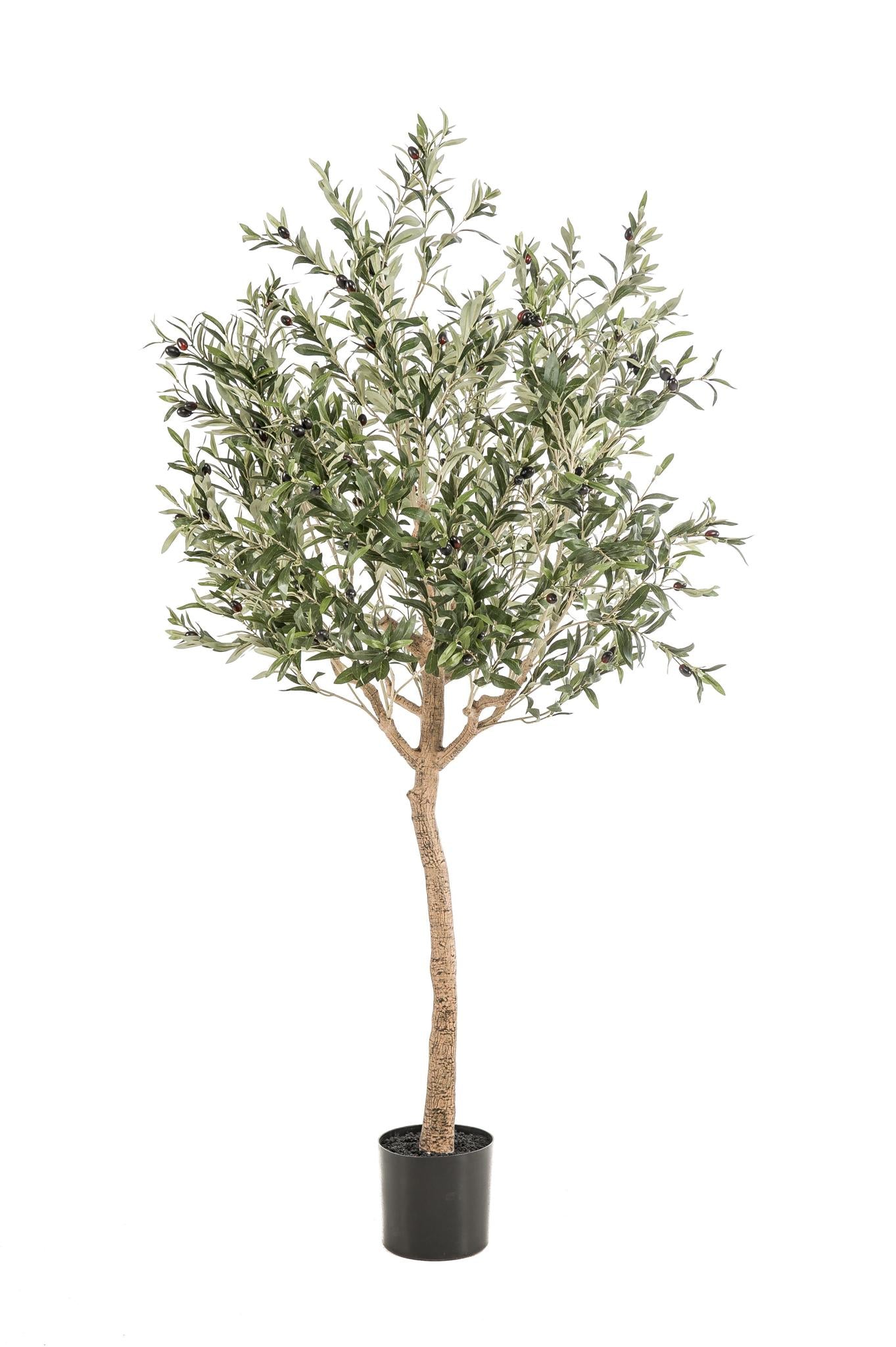 Artificial Tree - Olea Europaea - Olive tree - 115 cm up to 180 cm