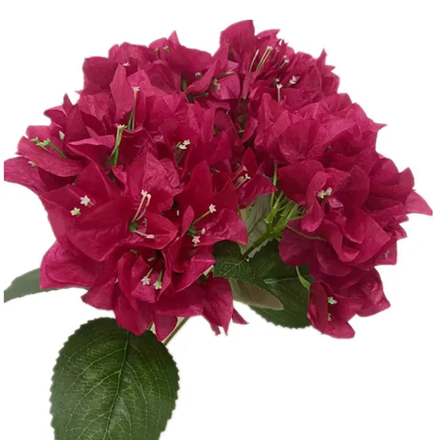One Silk Bougainvillea Glabra Flower Bunch 5 Head Bougainvillea Spectabilis Willd for Wedding Party Floral Decoration