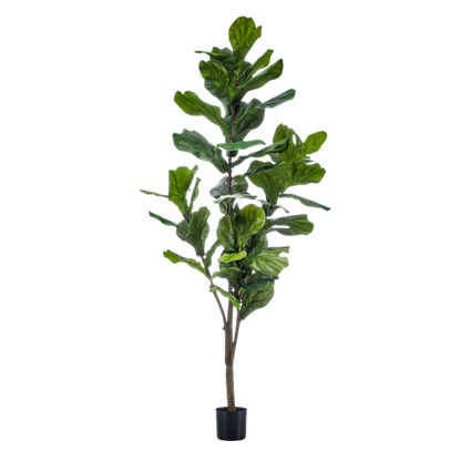 Planta Artificial – Ficus Lyrata - 150 cm