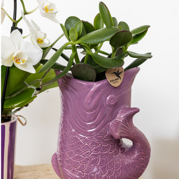 Vis Decoratieve Pot - Lila - 9cm