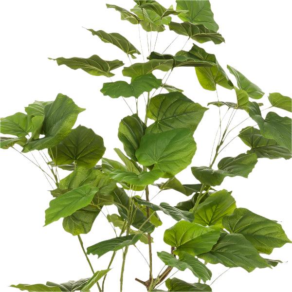 Planta Artificial – Ficus Umbellata - 125 cm