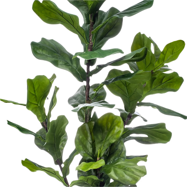 Planta Artificial – Ficus Lyrata - 150 cm