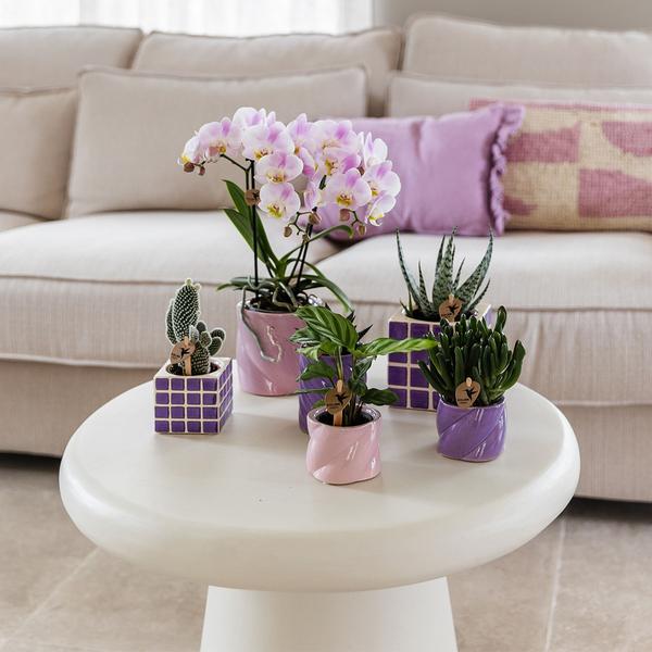 Mosaic Flower Pot - Lilac - 6cm