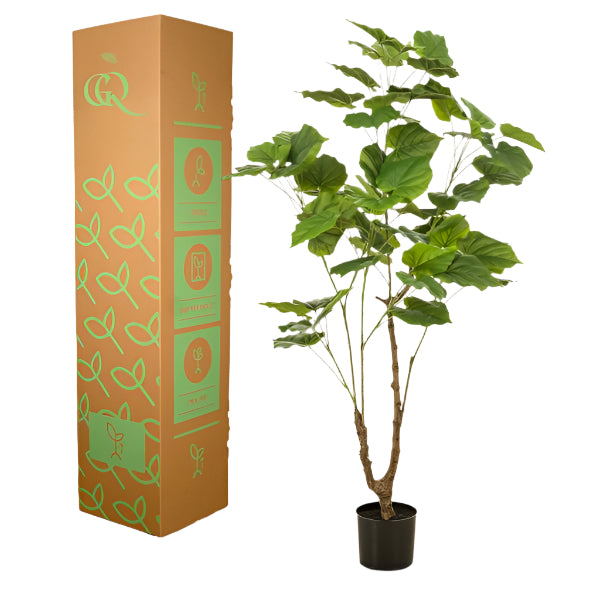 Planta Artificial – Ficus Umbellata - 125 cm