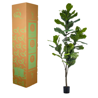 Planta Artificial – Ficus Lyrata - 150 cm