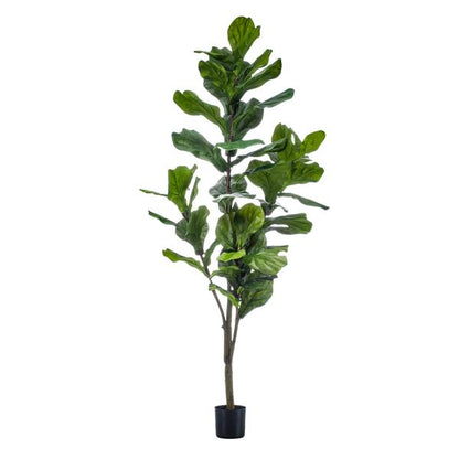 Planta Artificial – Ficus Lyrata - 150 cm