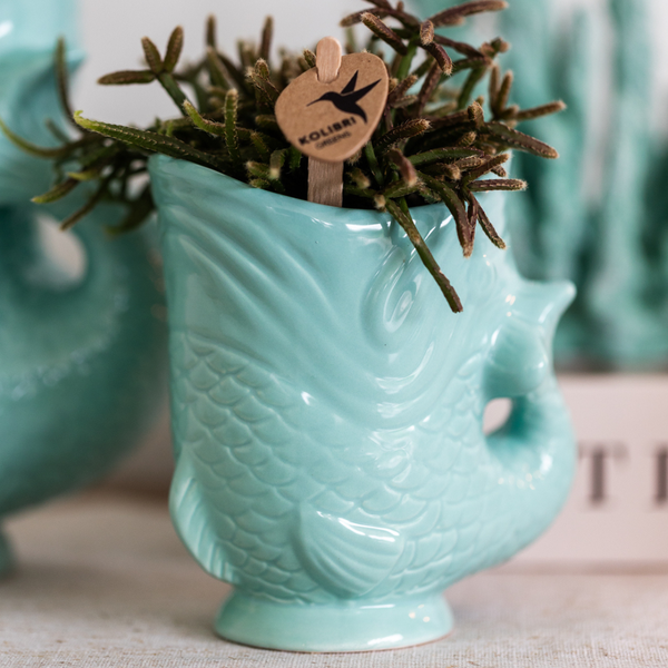 Vis Decoratieve Pot - Turquoise - 6cm