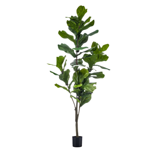 Planta Artificial – Ficus Lyrata - 150 cm