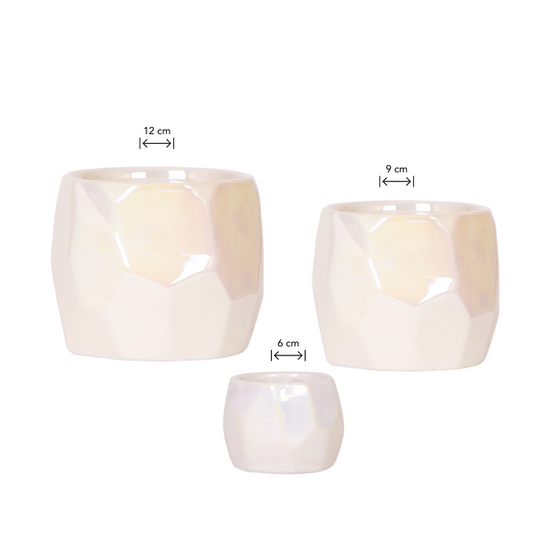 Combo Deal - Pearl Travertine Pots