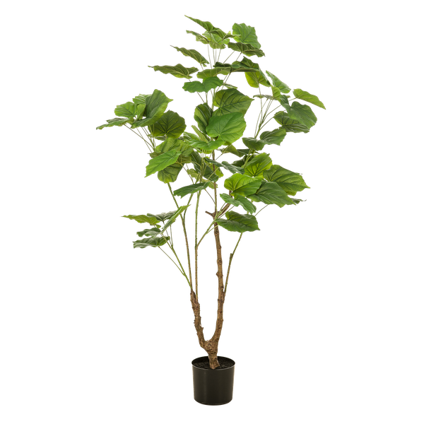 Planta Artificial – Ficus Umbellata - 125 cm