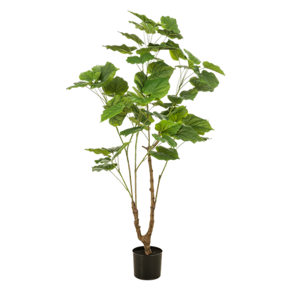 Planta Artificial – Ficus Umbellata - 125 cm