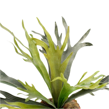 Artificial Plant - Staghorn Fern - Staghorn - 50 cm