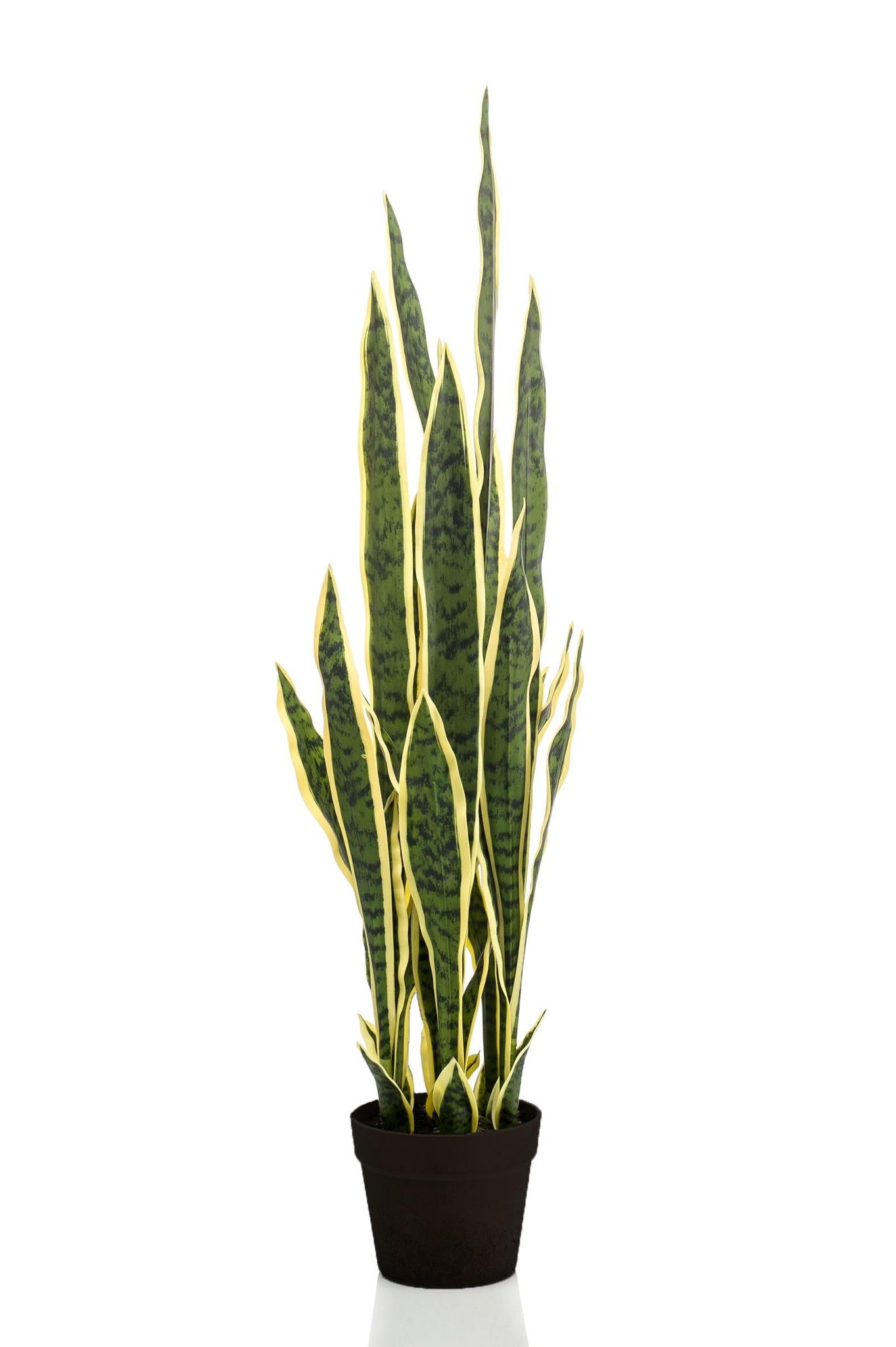 Artificial Plant - Sanseveria Trifasciata - 97 cm