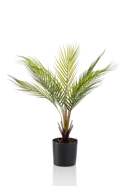 Artificial Plant - Chamaedorea Elegans - Berg Palm - 50 cm up to 85 cm