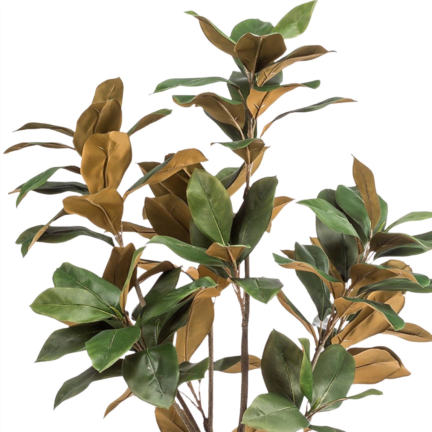 Árbol de magnolia artificial Grandiflora - 150 cm