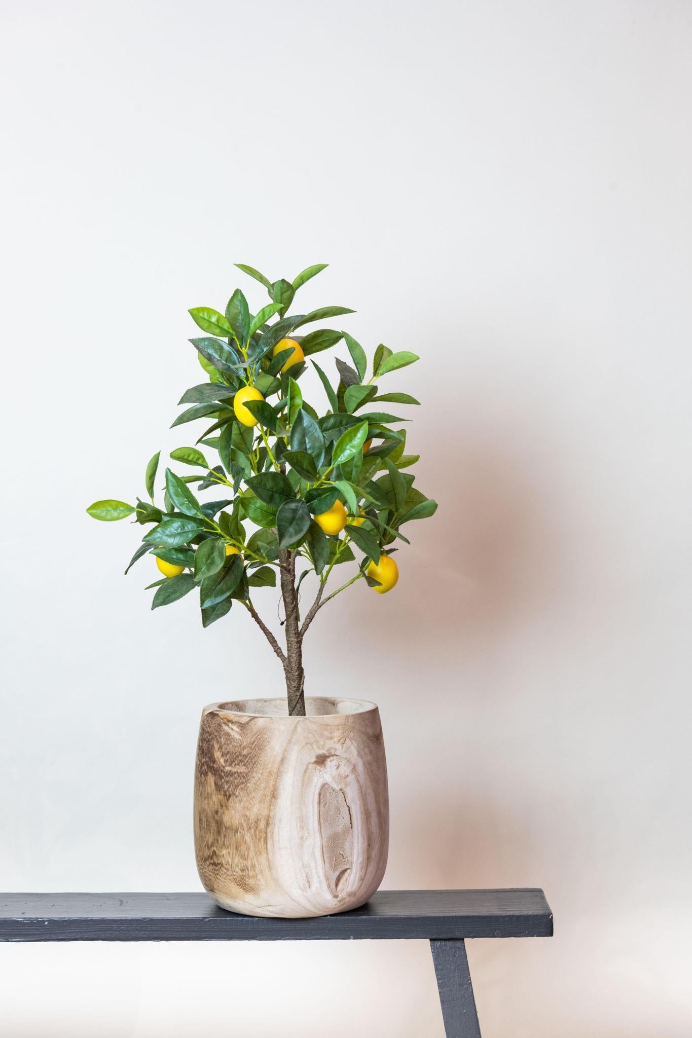 Árbol Artificial - Citrus Limonia - Limonero - 75 cm