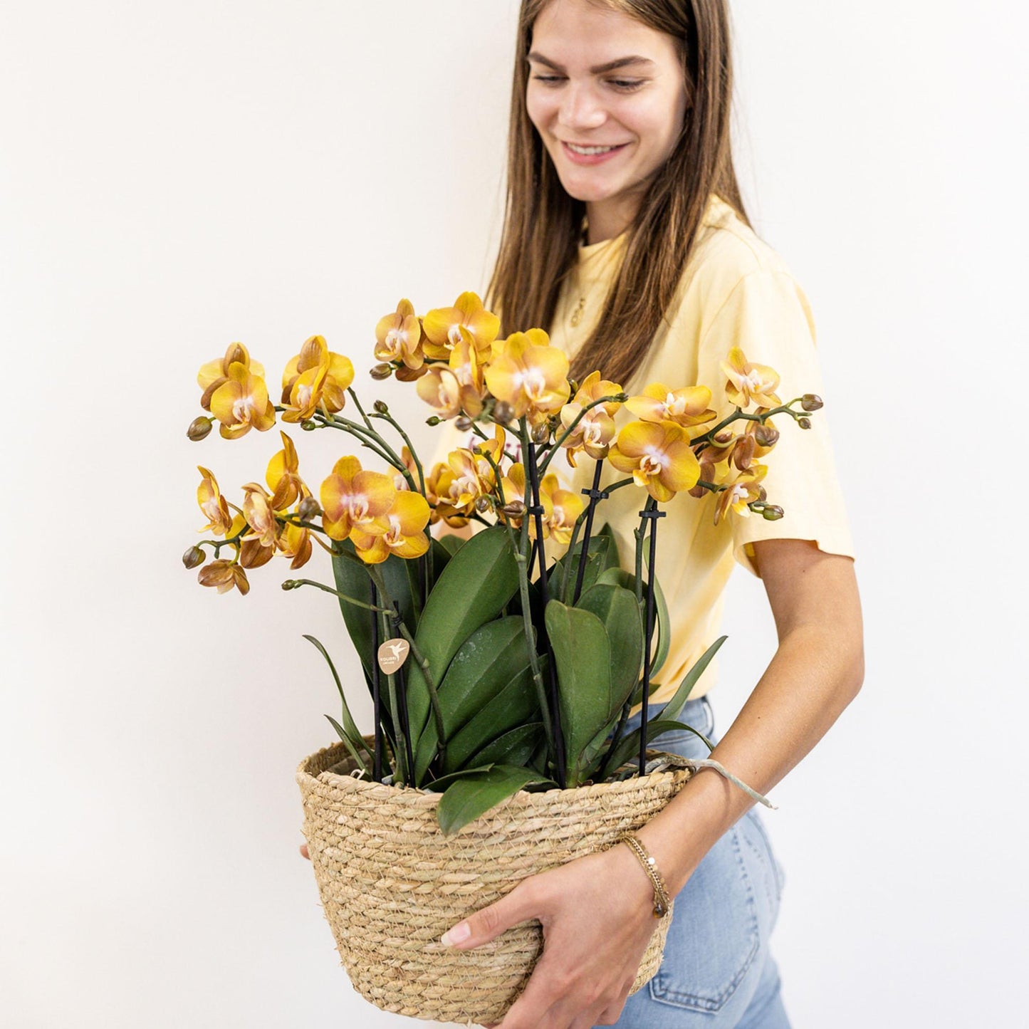 Orange Orchid Set in Reed Basket + Self-Sustaining Water Reservoir