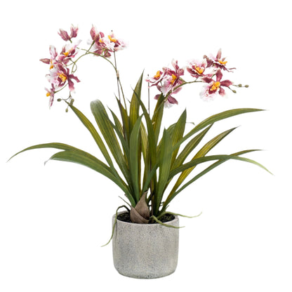 Artificial Orchid Plant   - Bordeaux Red - 45cm