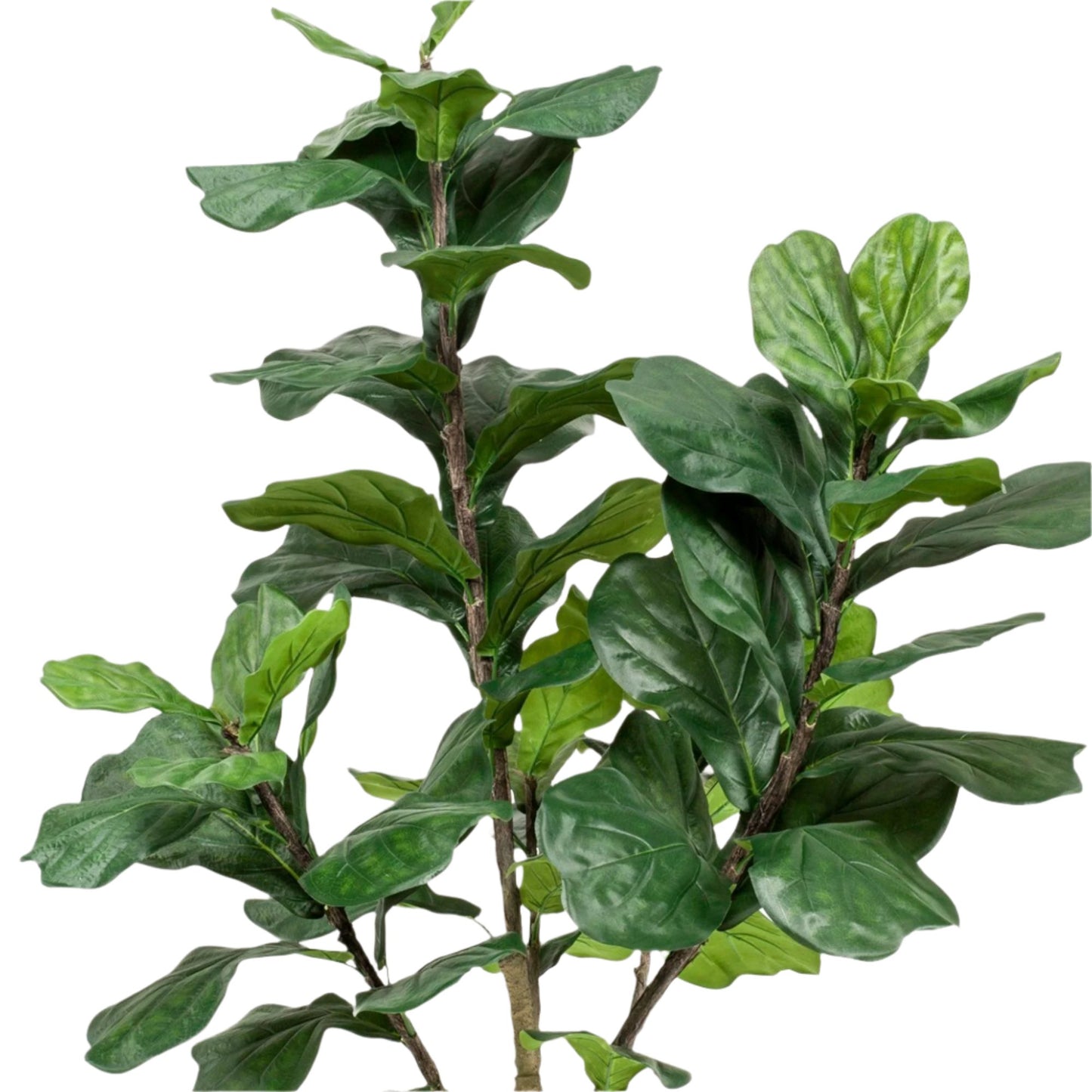 Kunstplant - Ficus Lyrata - Tabaksplant - 180 cm