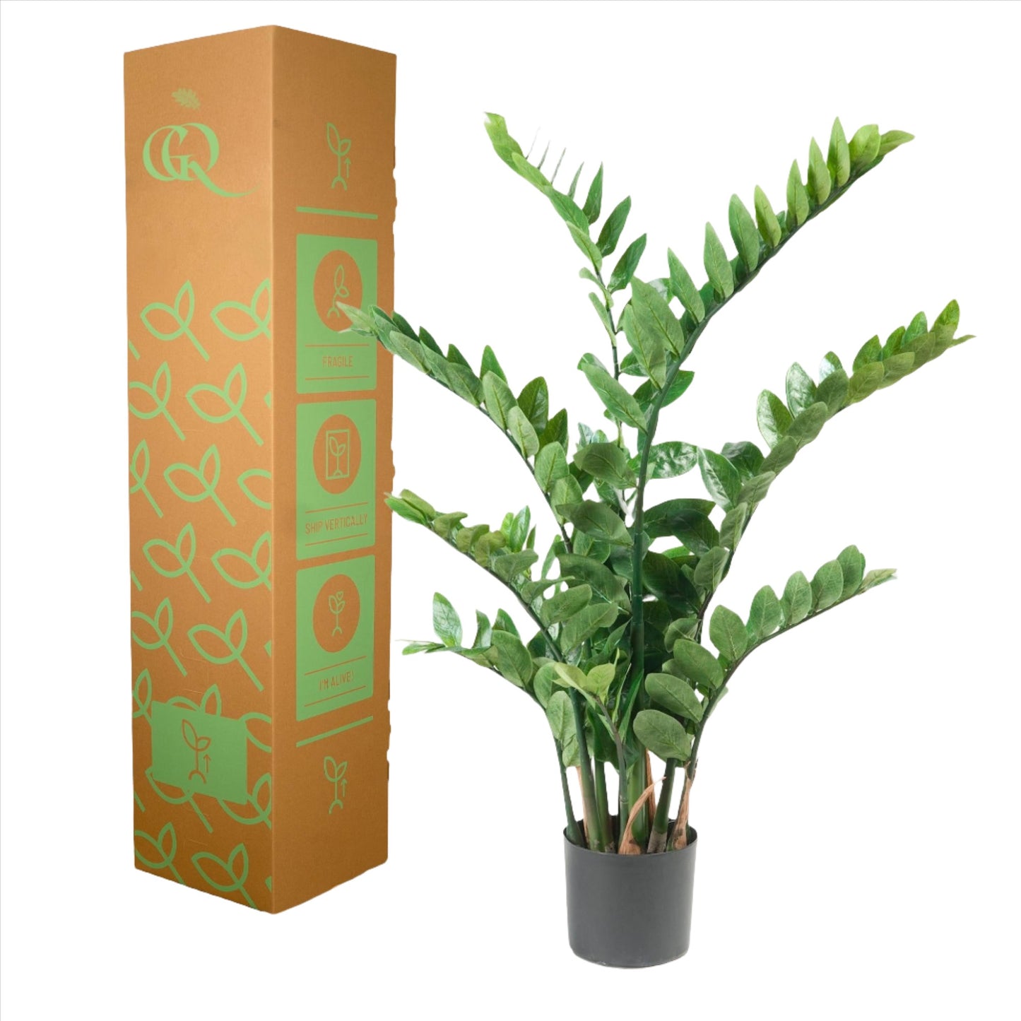 Artificial Plant - Zamioculcas - House Palm - 110 cm