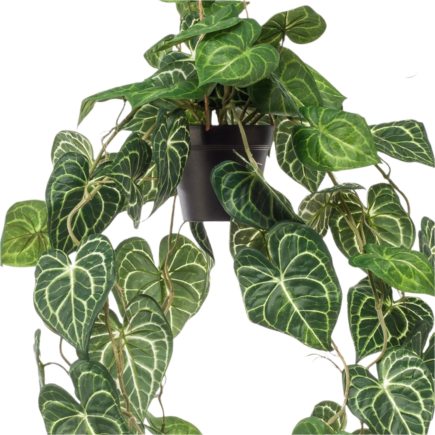 Artifial Plant - Anthurium Clarinervium - 80 cm