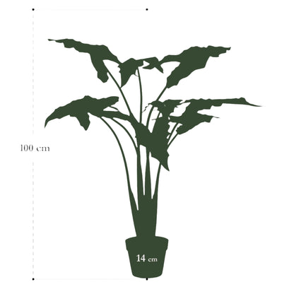 Artificial Plant - Alocasia Frydek - Elephants Ear Plant - 100 cm