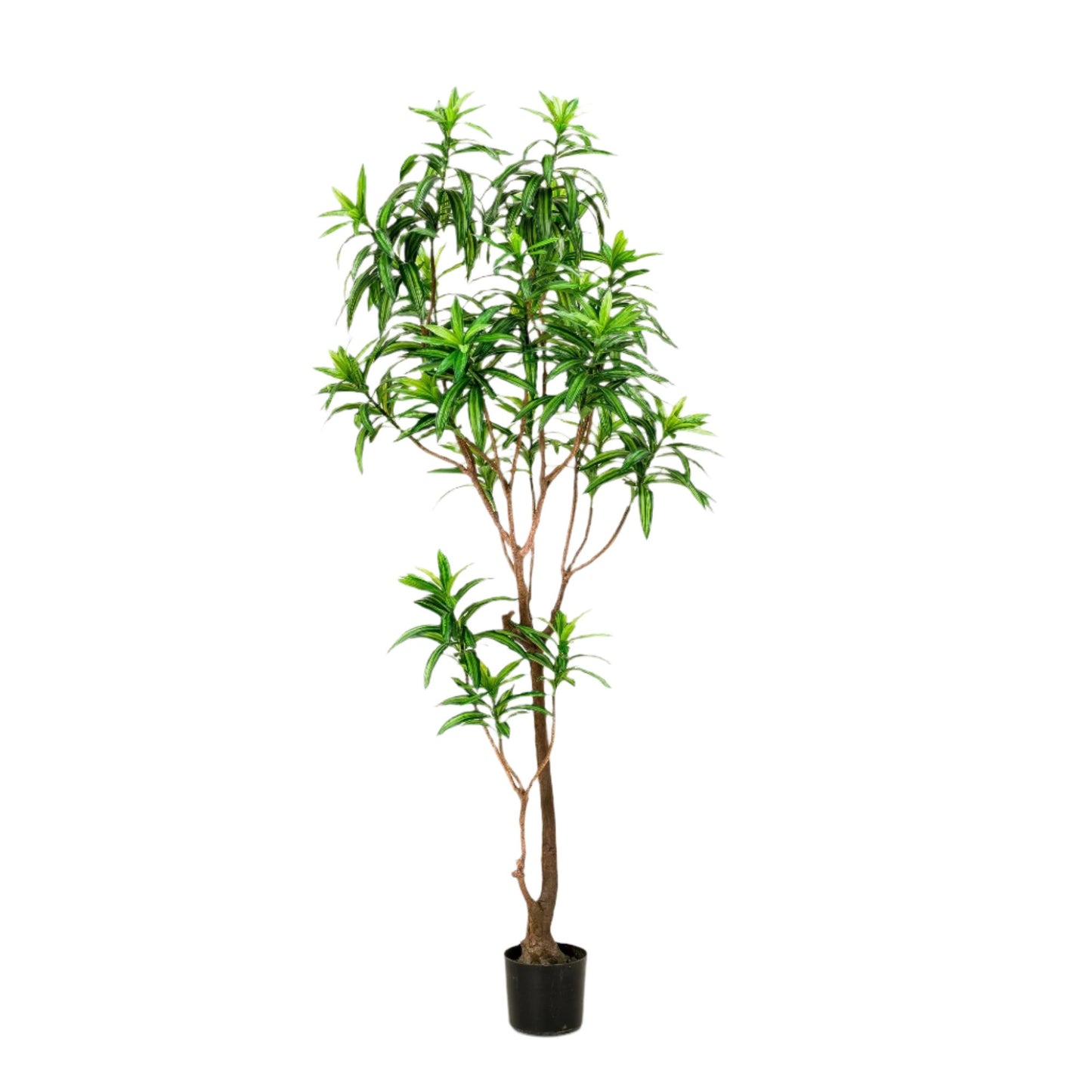 Artificial Tree - Dracaena - Dragon tree - 190 cm