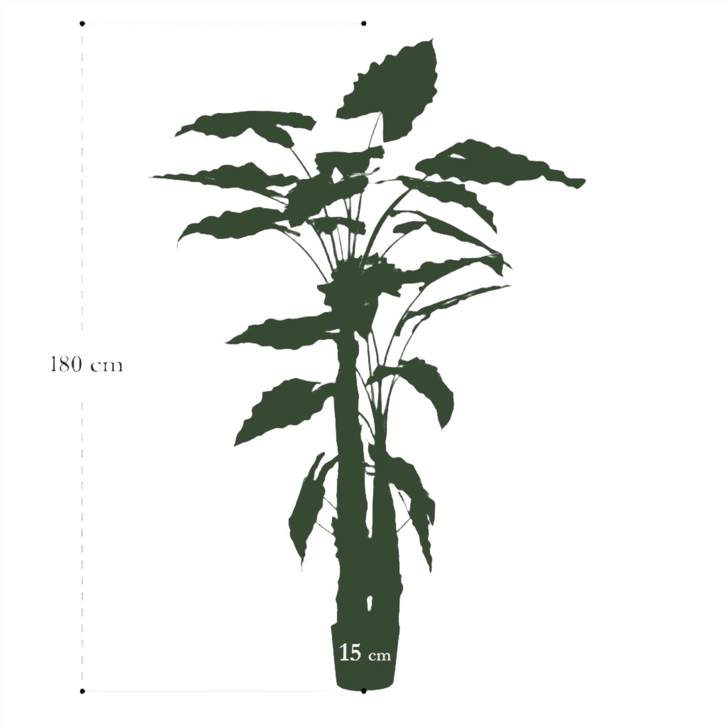 Kunstplant - Alocasia - Olifantsoorplant - 180 cm