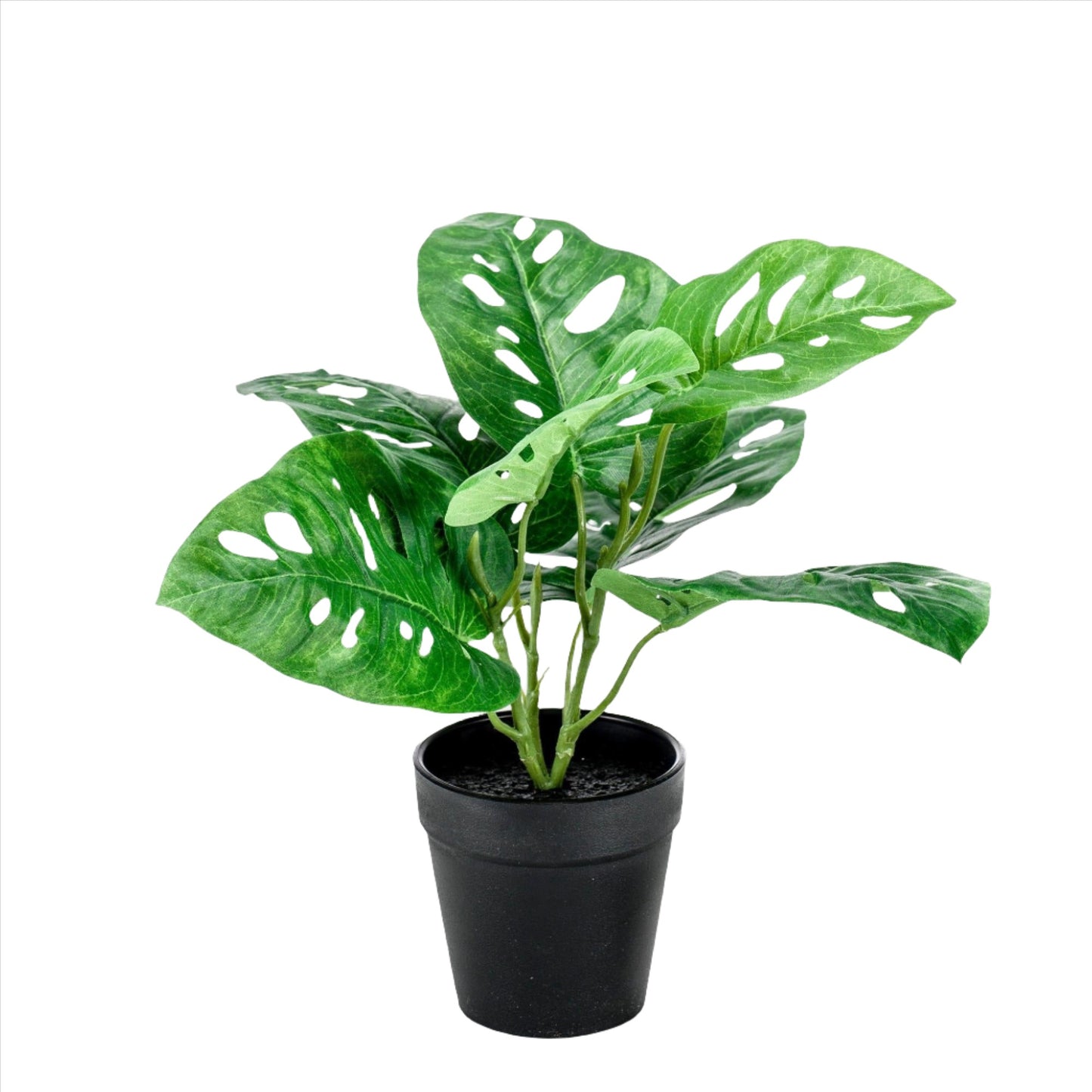 Artificial Plant - Monstera Monkey -  Small Hole Plant - 29 cm