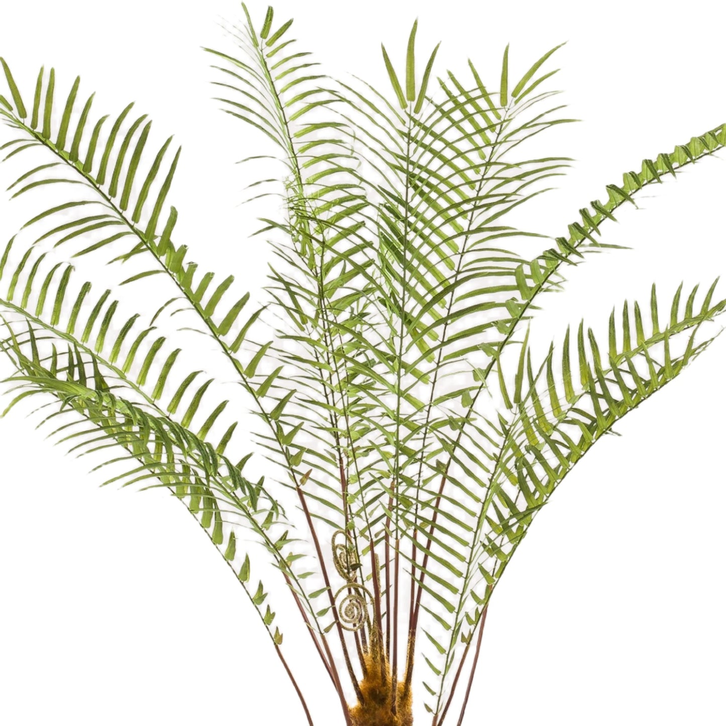 Artificial Fern Tree  - x15 -1 25cm