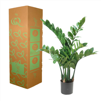 Artificial Plant - Zamioculcas - Indoor palm - 70 cm