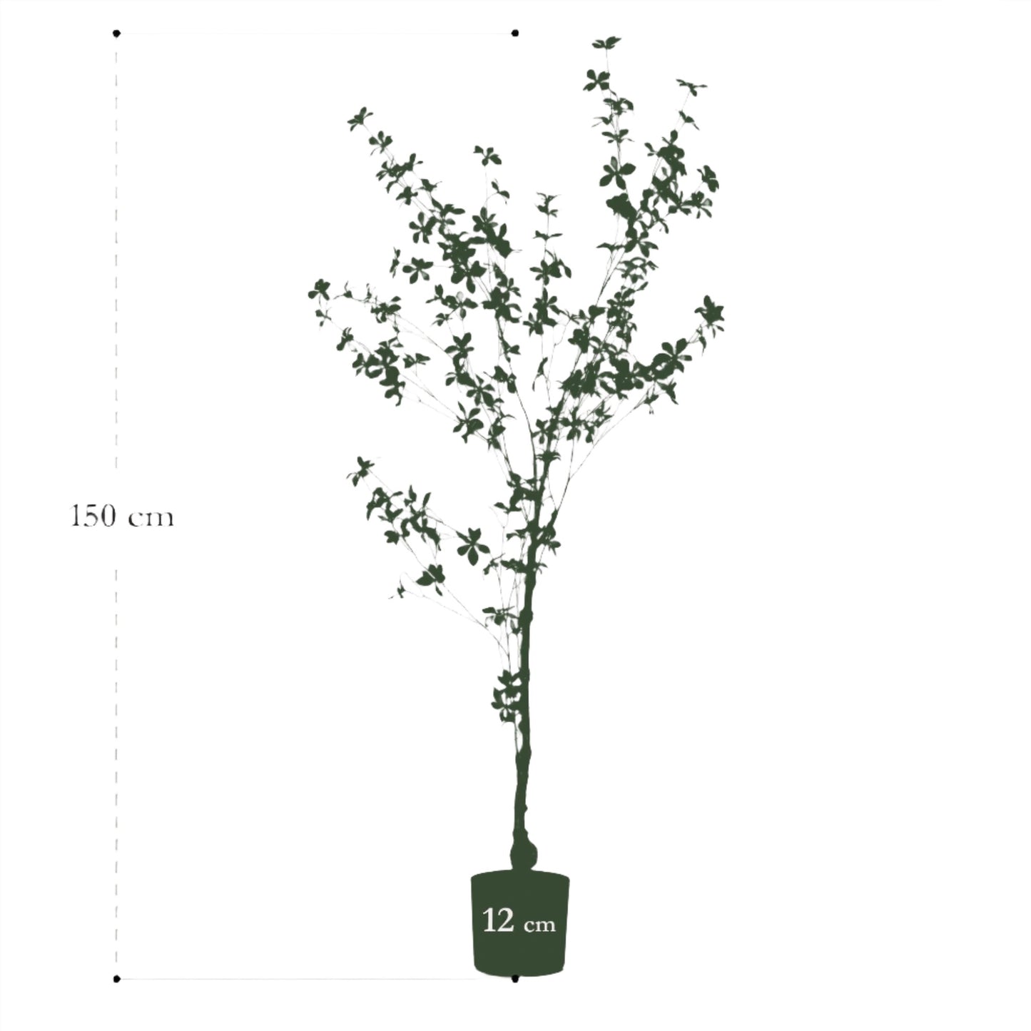 Artificial Tree - Tropaeolum Speciosum - East Indian Cherry - 150 cm