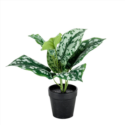 Artificial Plants - Scindapsus Pictus - Lucky plant - 30 cm