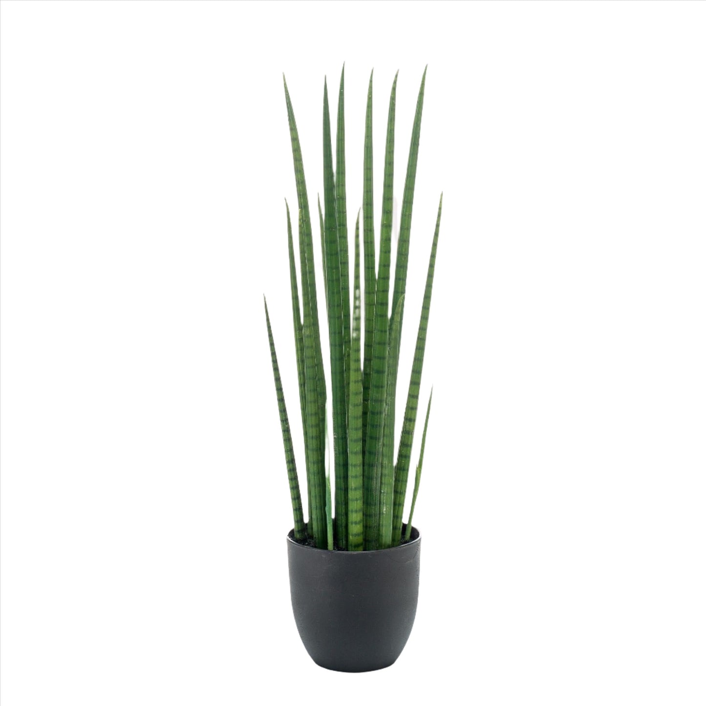 Artificial Plant - Sanseveria Cylindrica - Vrouwentong - 70 cm