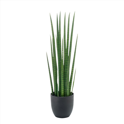 Artificial Plant - Sanseveria Cylindrica - Vrouwentong - 70 cm