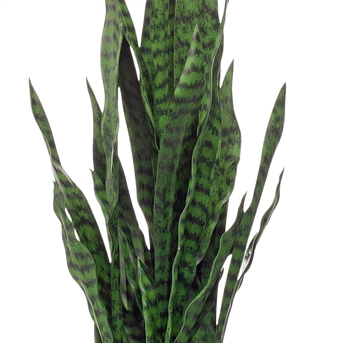 Artificial Plant - Sanseveria black coral - 97 cm