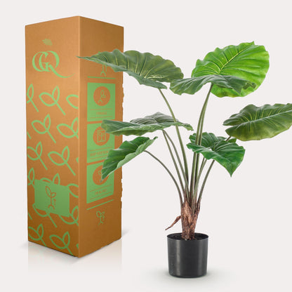 Kunstplant - Alocasia - Olifantenplant - 70 cm