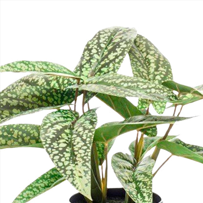 Artificial Plant - Calathea Dots - Schadow Plant - 38 cm