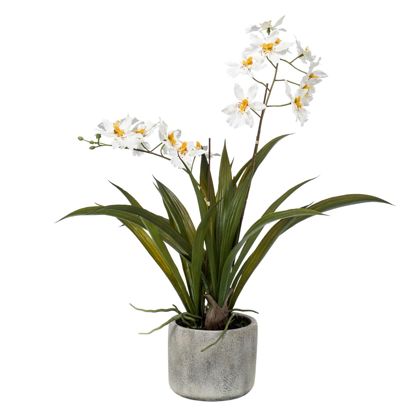 Artificial Orchid Plant - White - 45cm