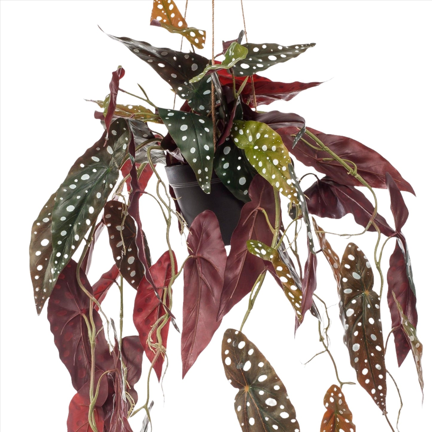 Kunstplant - Begonia Maculata - 80 cm