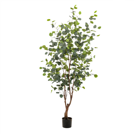 Artificial Tree - Eucalyptus Blue Gum Tree  - 120 cm up to 180 cm