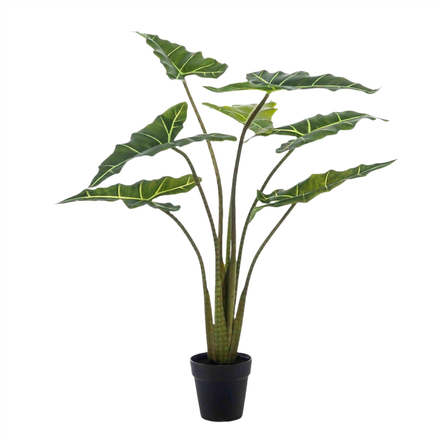 Artificial Plant - Alocasia Frydek - Elephants Ear Plant - 90 cm