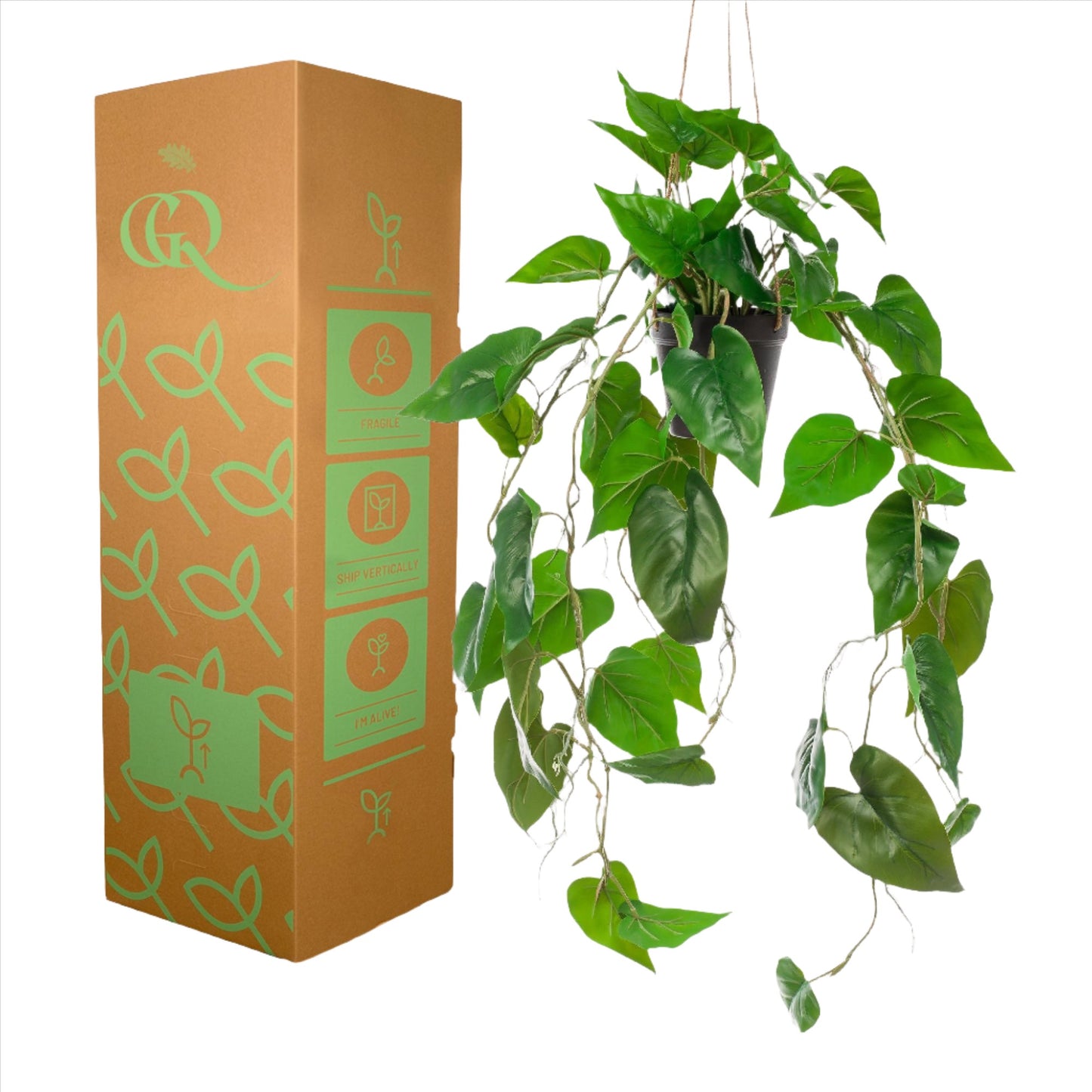 Kunstplant - Philodendron Scandens - 80 cm